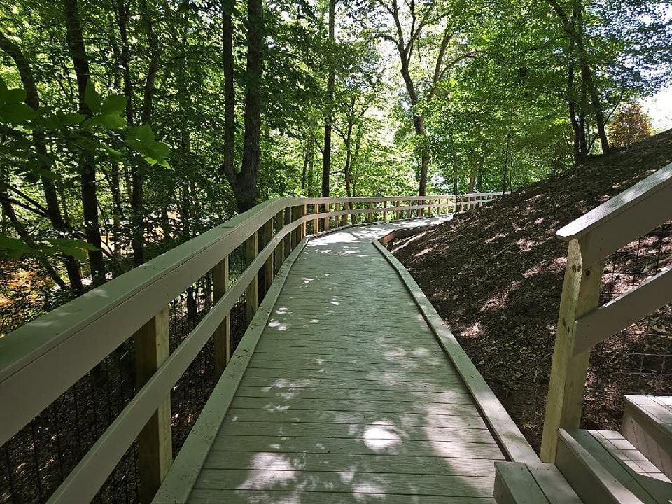 Wooden boardwalk with railings winds through a forest, lit by dappled sunlight.