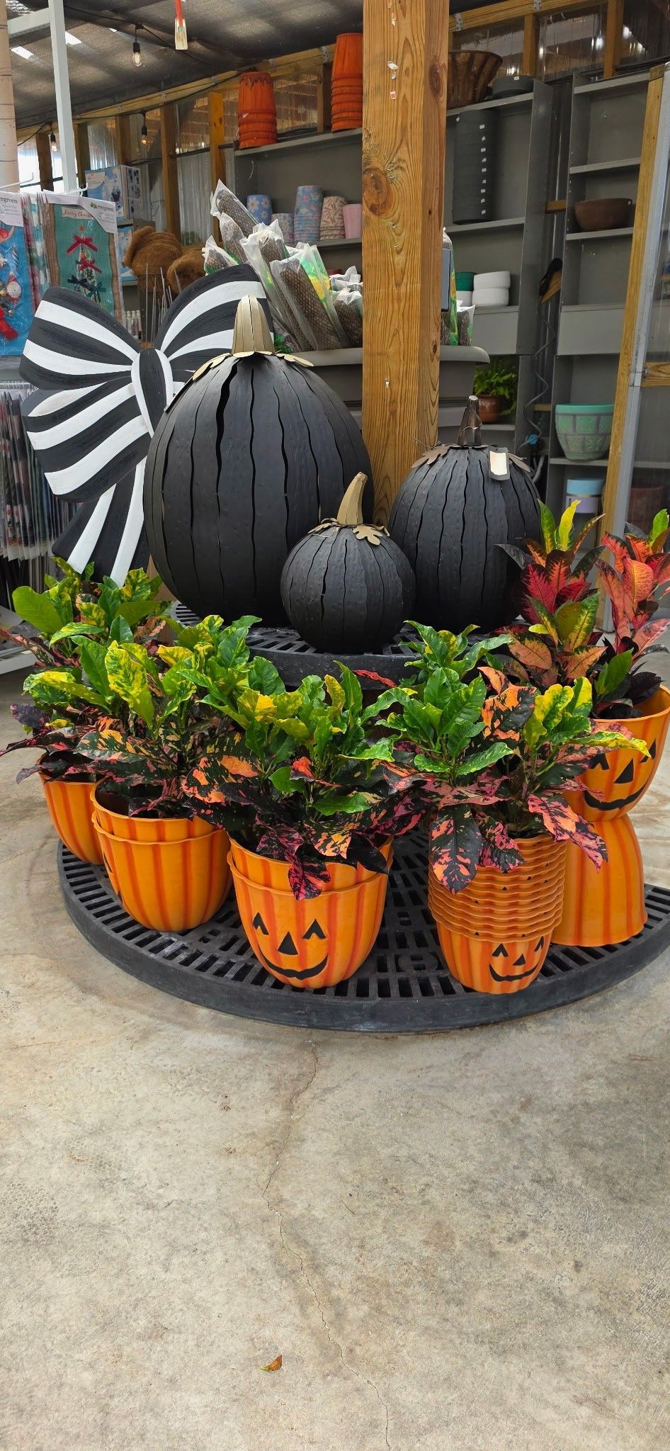Halloween display with black spiders and orange pumpkins on a store pallet, surrounded by fall flowers