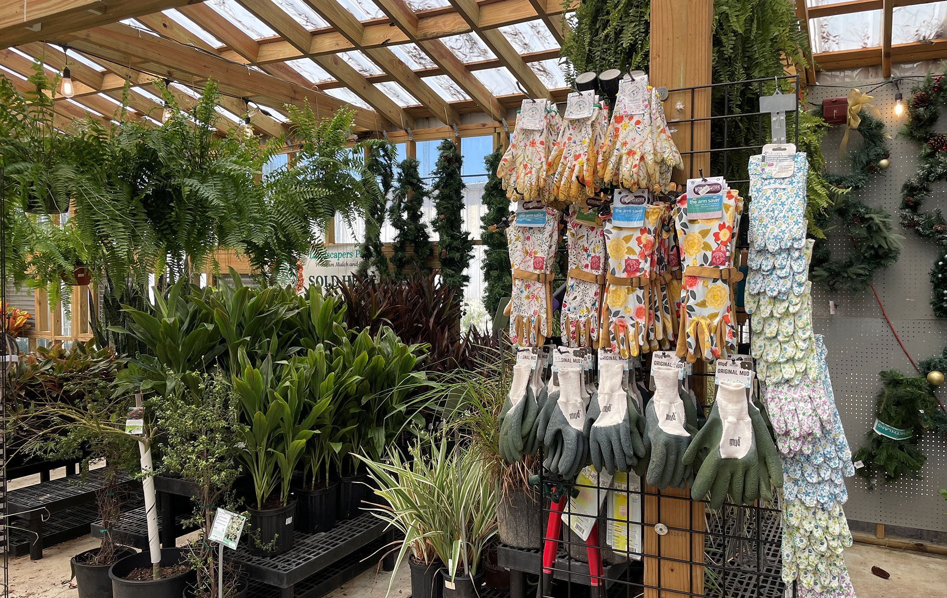 Greenhouse with plants, gardening gloves on display, and a wooden trellis roof.