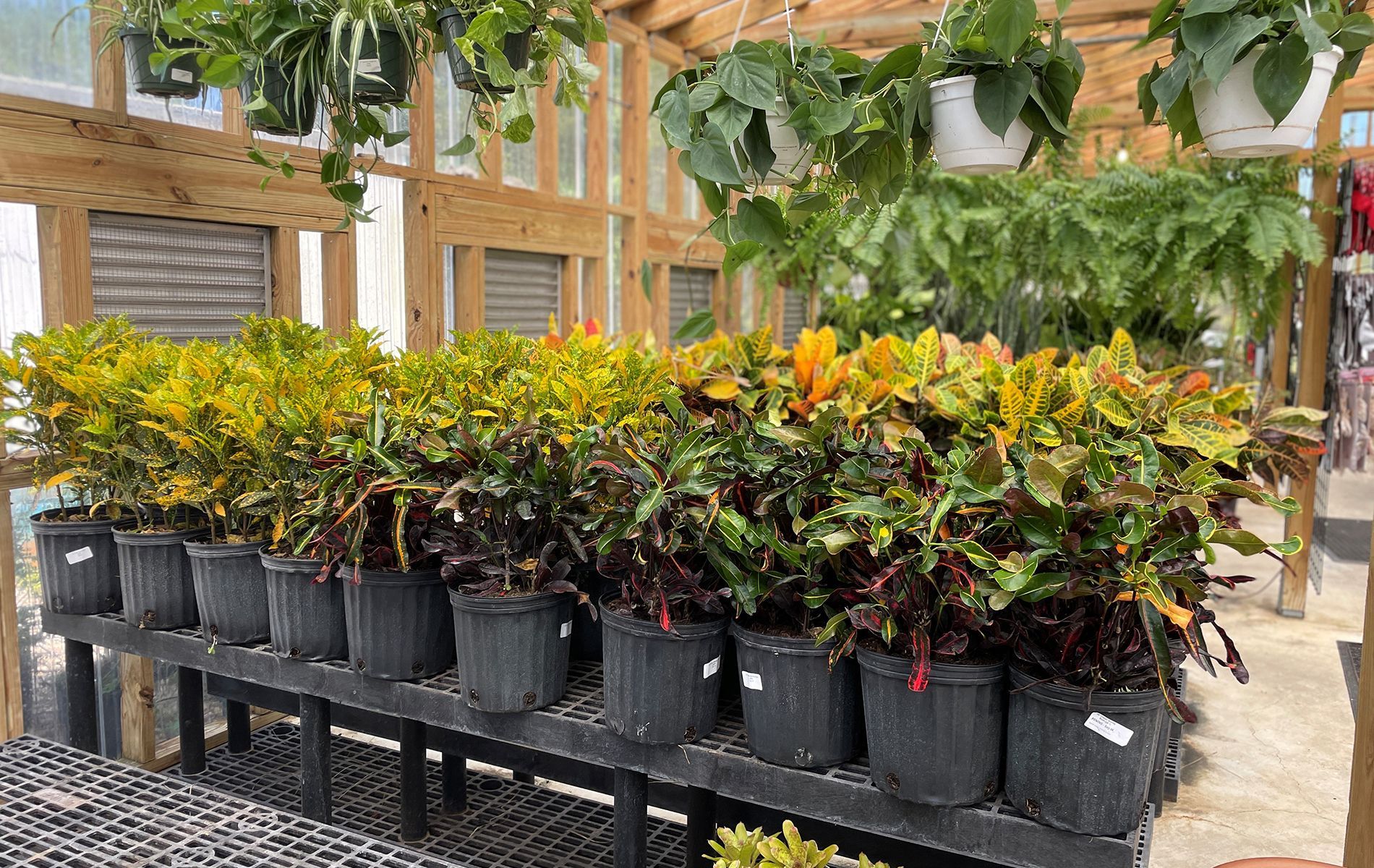 Huck's Home & Garden