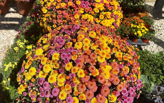 Huck's Home & Garden