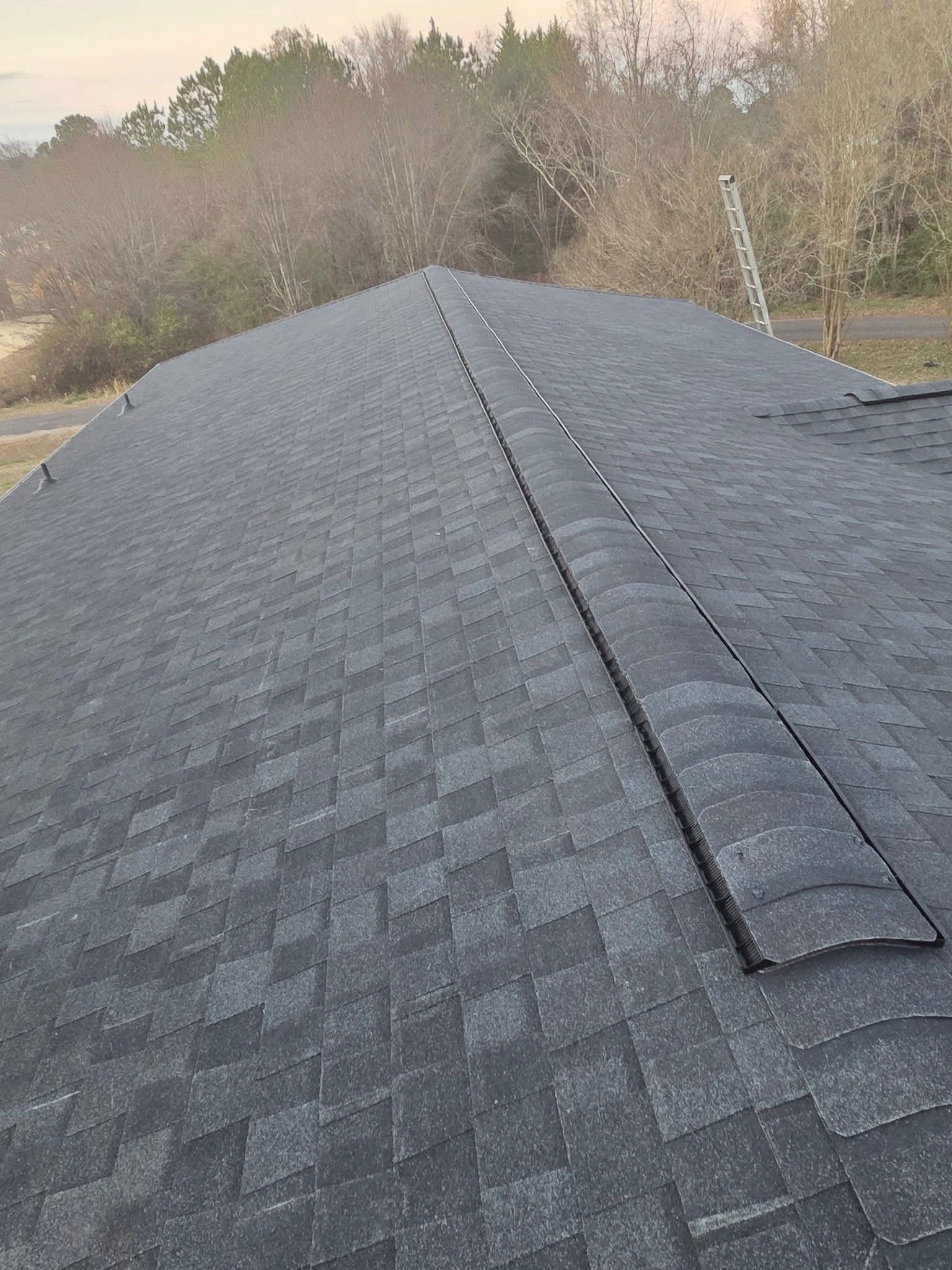 Gray asphalt shingle roof with a prominent ridge vent running along the peak, set against a backdrop of trees.