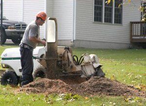Stump Grinding - Culpeper, VA - Scott's Landscaping & Tree - stump grinding - $4.00 per inch of tree stump removed.