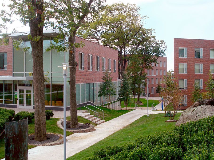 Brick buildings with glass windows and a grassy walkway lined with trees.