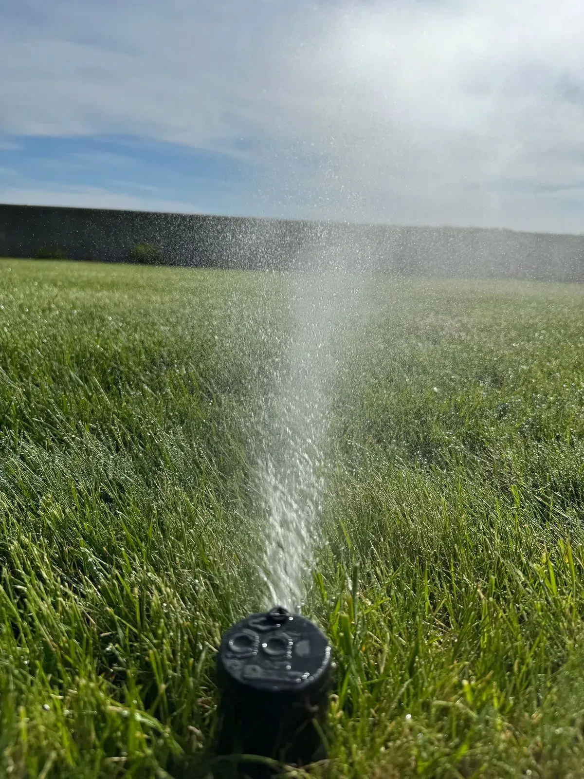 A sprinkler is spraying water on a lush green field.
