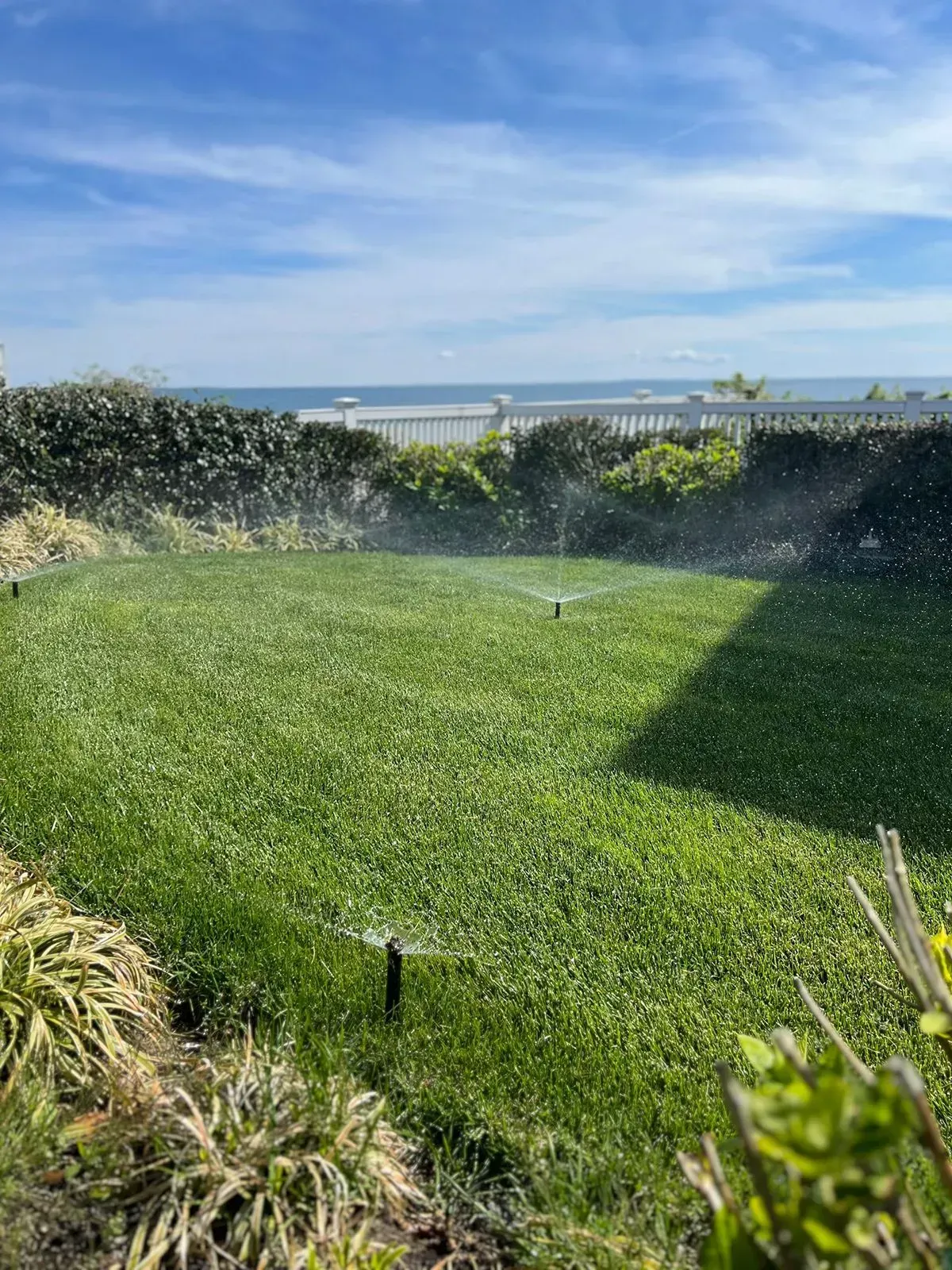 A sprinkler is spraying water on a lush green lawn.