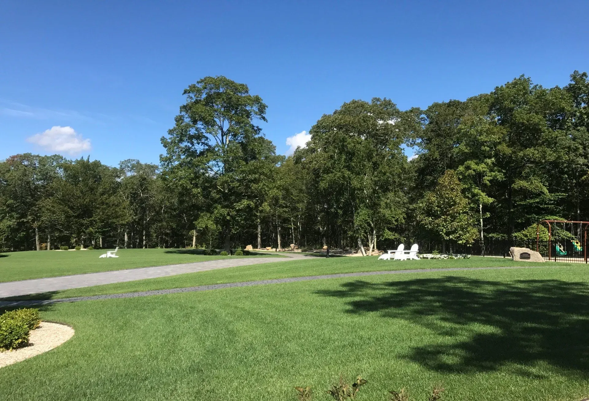 A park with a lot of grass and trees on a sunny day.