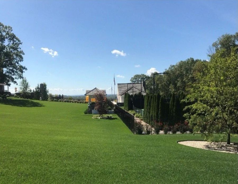 A large lush green field with a house in the background