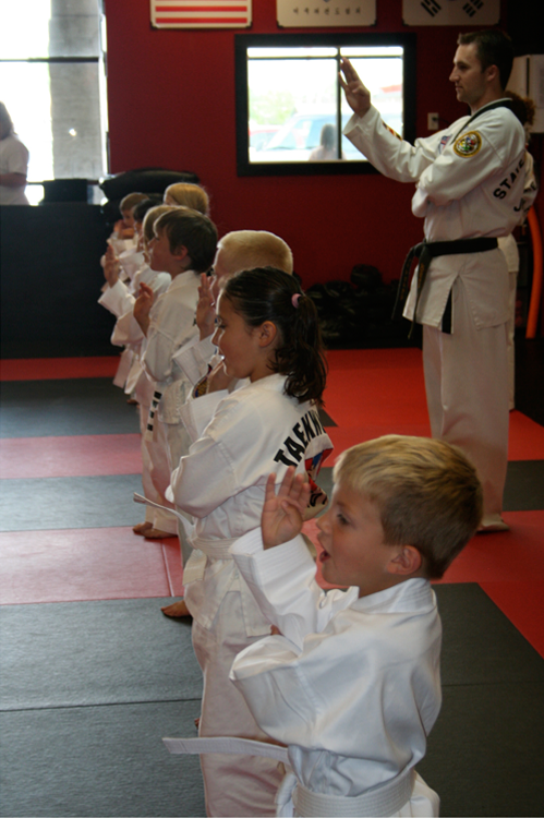 ATA Martial Arts Classes