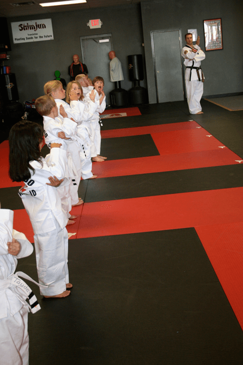 ATA Martial Arts Classes