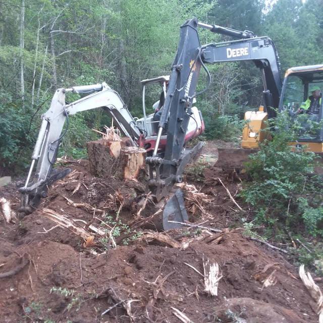 stump removal