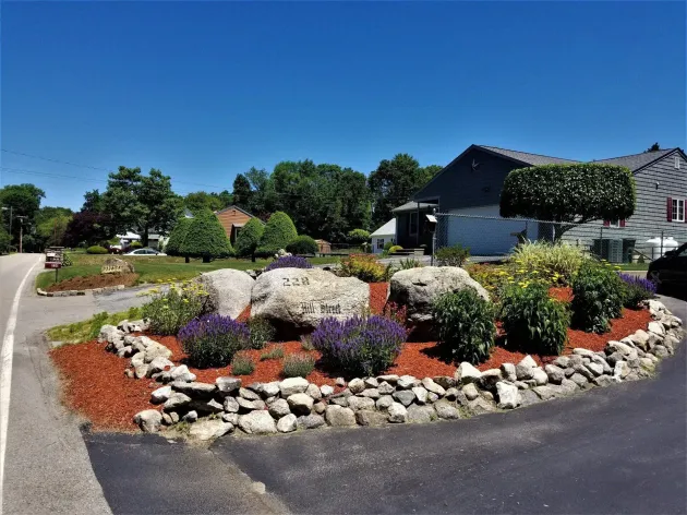 A landscaping bed featuring large boulders, reddish mulch, shrubs, and purple flowers, bordered by a stone wall.