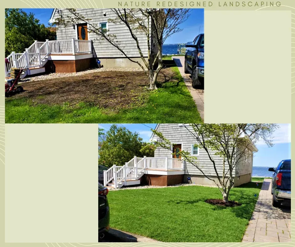 Before and after photos of a residential lawn renovation, showing sparse dirt transformed into a lush, green grassy yard.