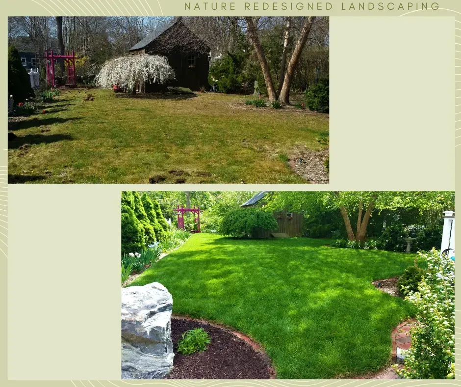 Before and after comparison of a backyard landscaping transformation, showing a dry, sparse lawn turned into a lush garden.