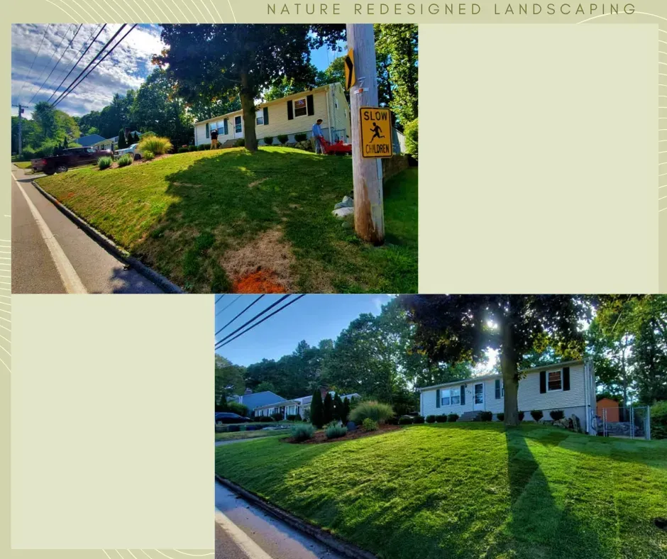 Before and after photos of residential landscaping featuring a sloped front lawn with new garden beds near a house.