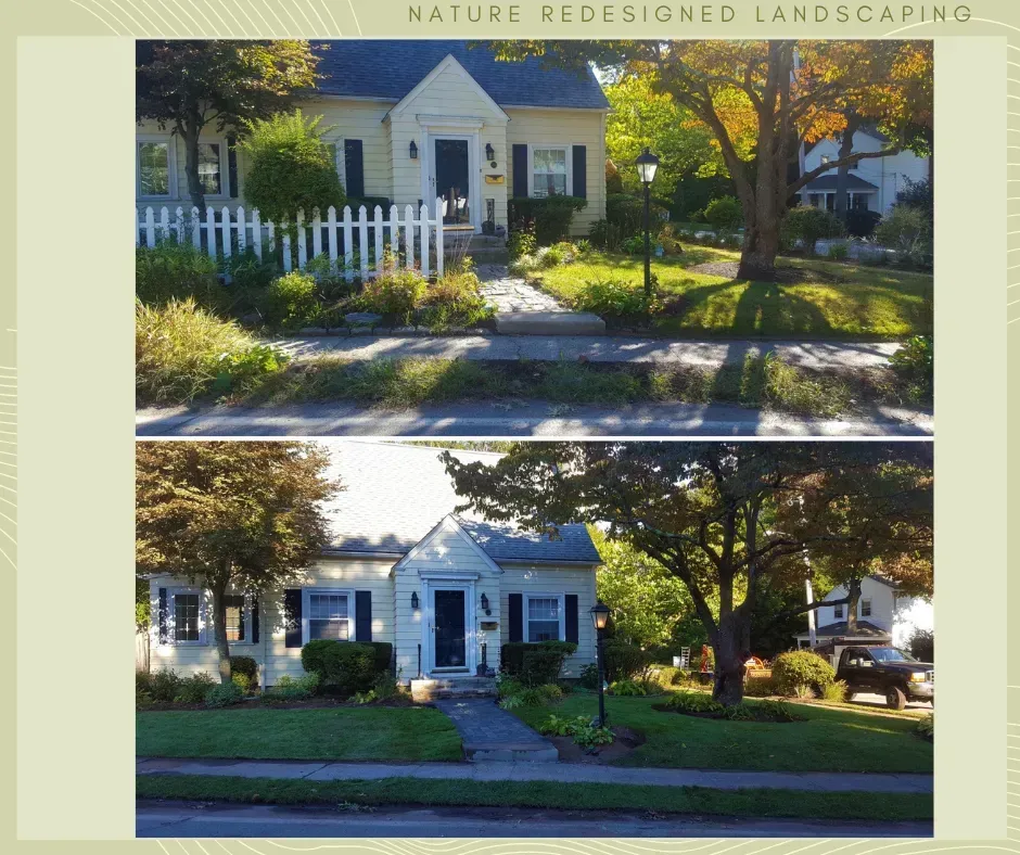 Before and after photos of a suburban home landscaping project, showing the removal of a picket fence and garden beds.