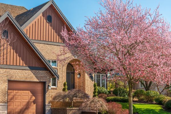 Suburban brick house with a garage and blooming pink tree in the front yard