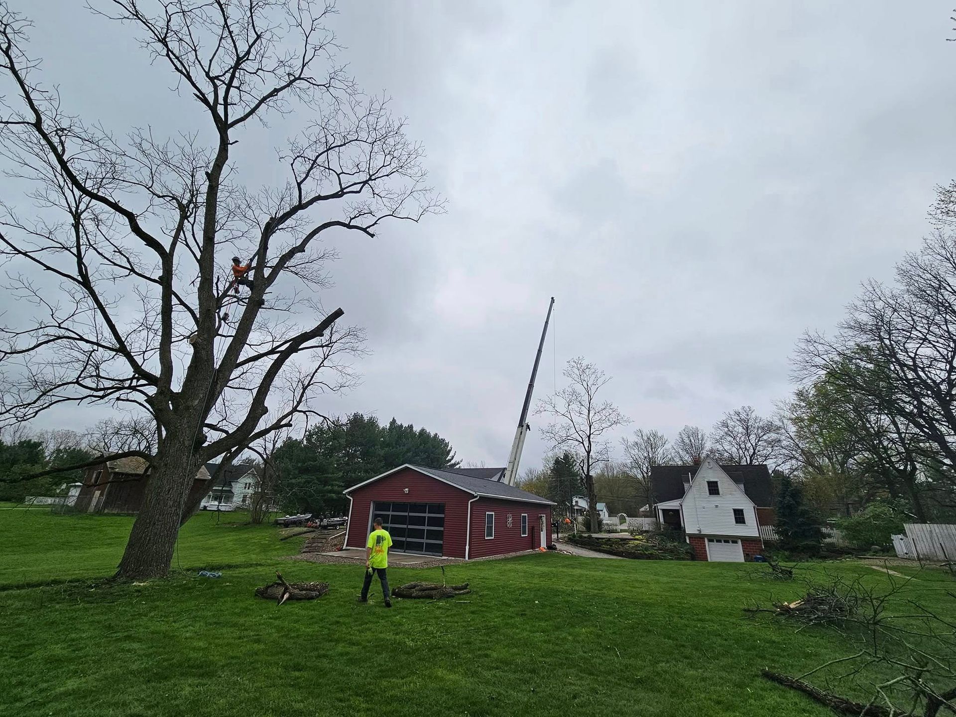 A worker in a high-visibility yellow shirt stands near a red garage as a crane lifts tree limbs from a large tree.