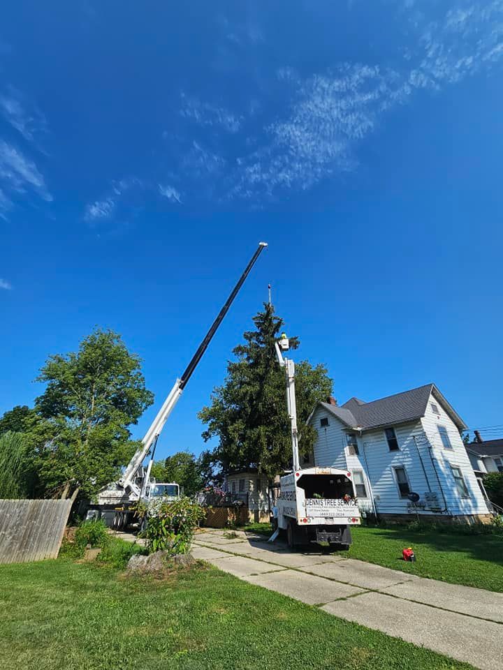 A crane and a service truck with a boom lift work on a large evergreen tree next to a white house on a sunny day.