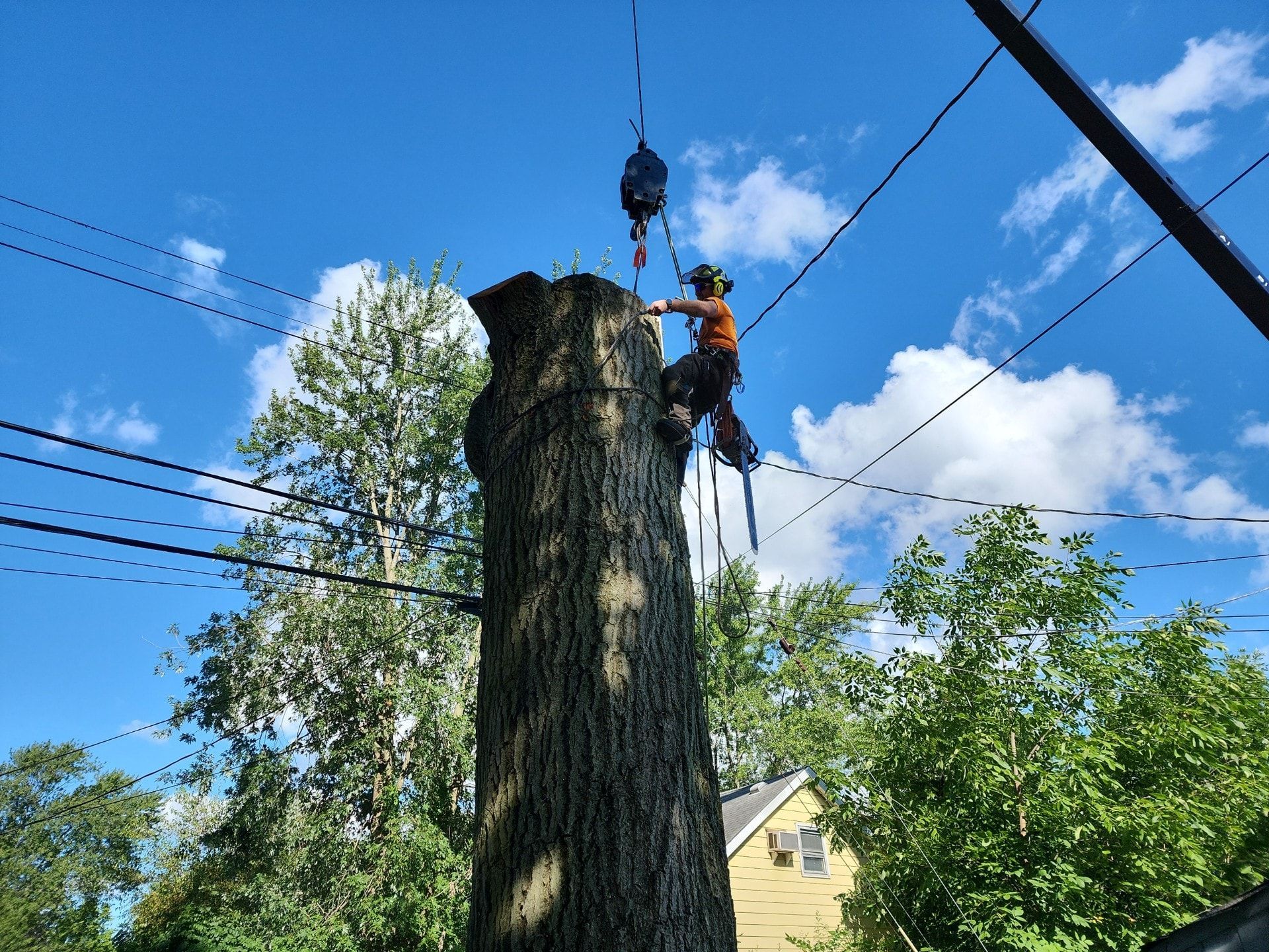 A person in safety gear, tethered to a crane hook, cuts a tall tree trunk near power lines against a blue sky.