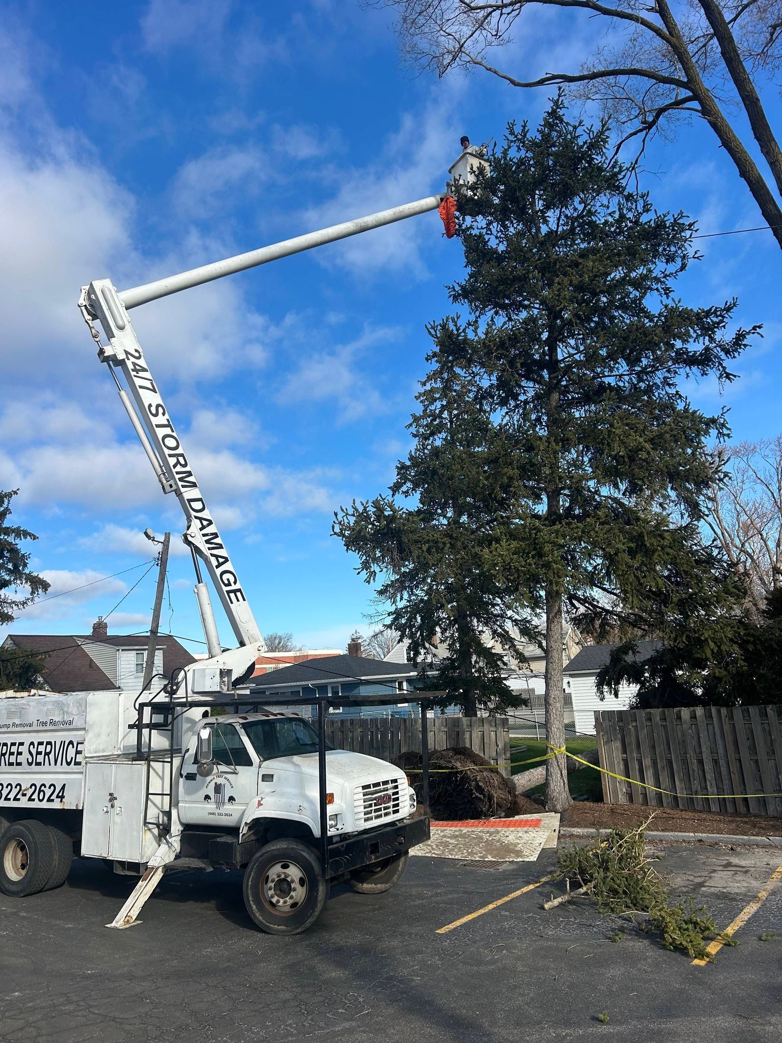 A white bucket truck is parked in a lot, with its boom extended high into an evergreen tree for pruning.