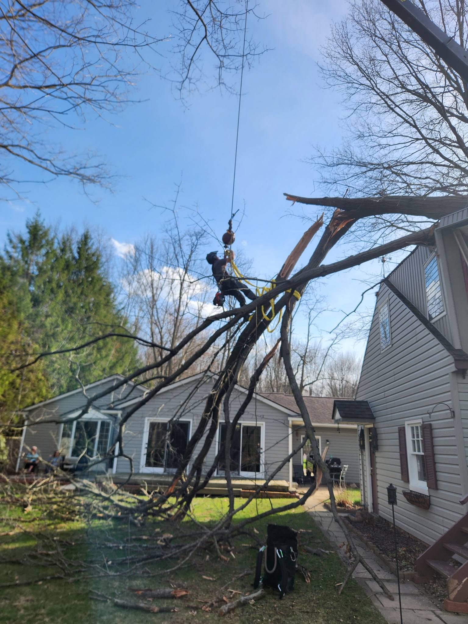 A professional tree removal specialist suspended by a crane uses a chainsaw to cut a large tree branch near a house.