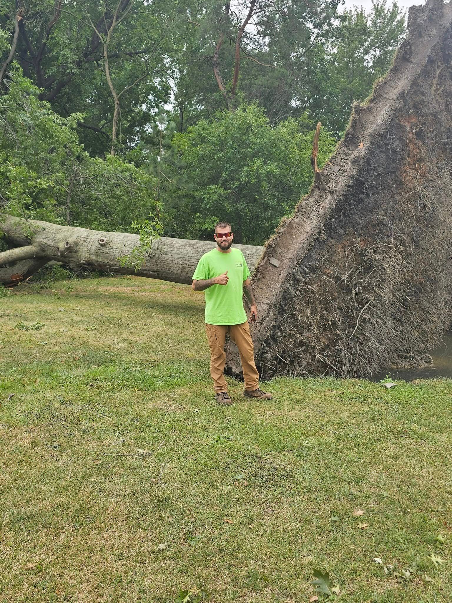 A person in a bright green shirt stands and gives a thumbs-up next to a large tree that has fallen over in a grassy area.