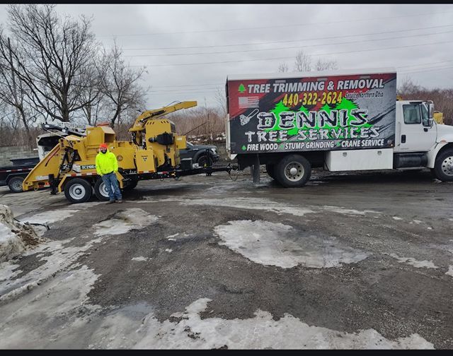 A worker in a bright yellow shirt stands next to a yellow wood chipper towed by a Dennis Tree Services truck.