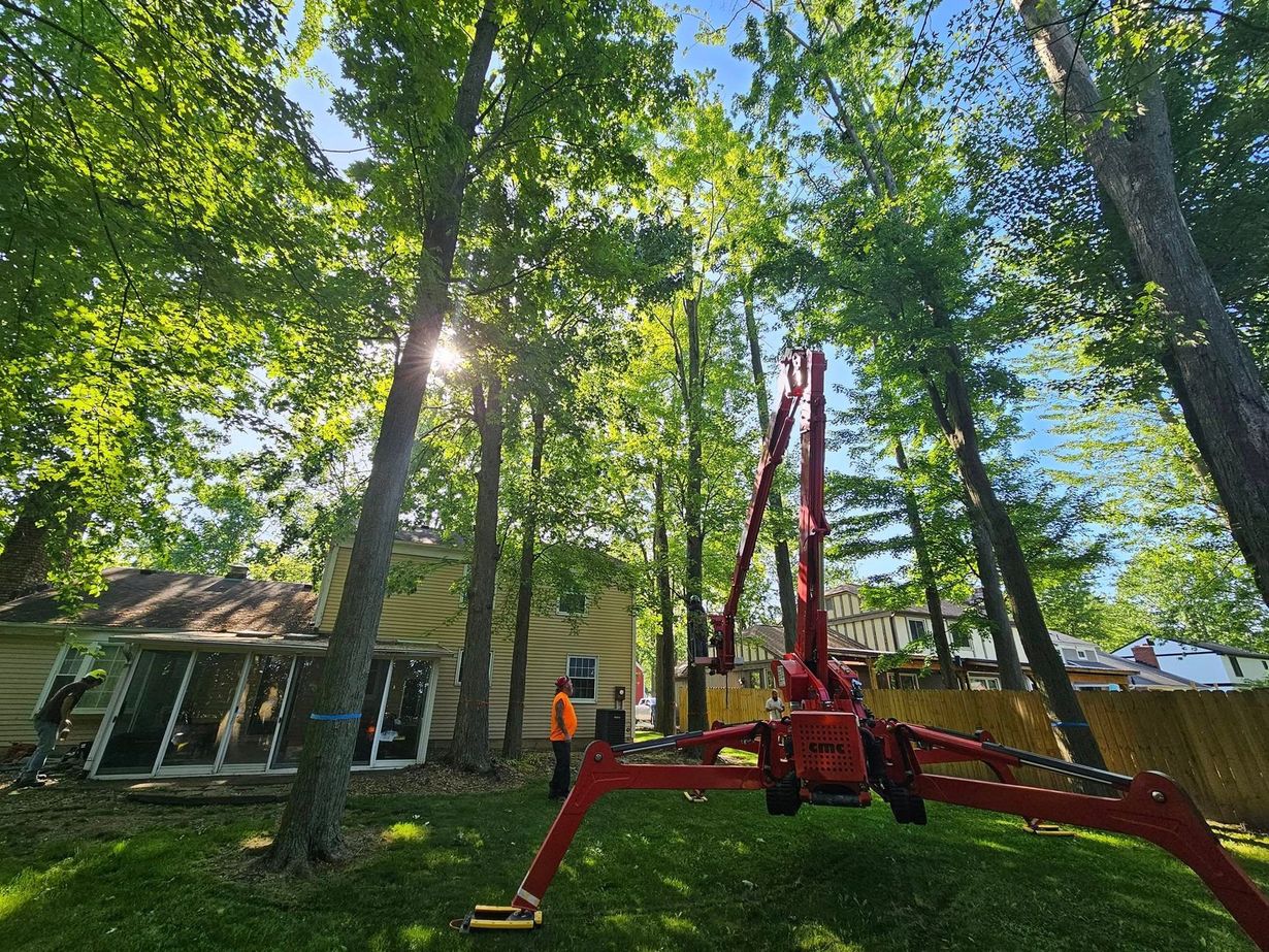 dennis-tree-service-and-landscaping