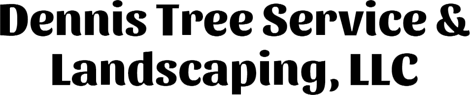 dennis-tree-service-and-landscaping - logo