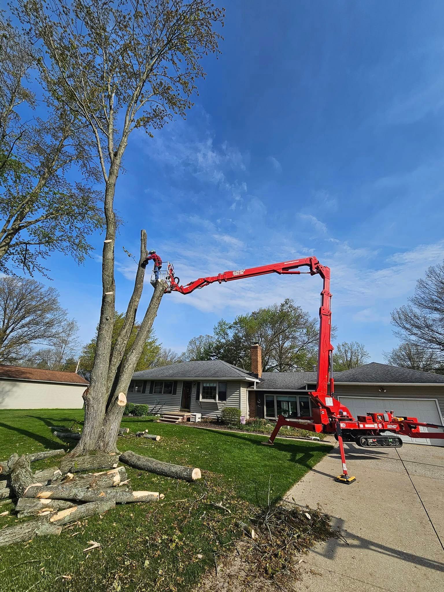 A red lift machine reaches into the branches of a tall tree being pruned in a residential front yard.