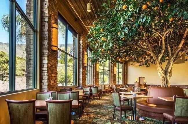 Restaurant interior with large windows, tables, chairs, and a large tree with fruit.