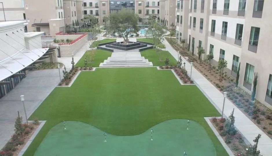 Green lawn with a putting green surrounded by buildings. Central tree and steps.