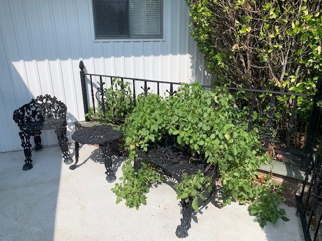 Black metal garden bench and chair beside a white house wall, partly covered by a leafy vine.
