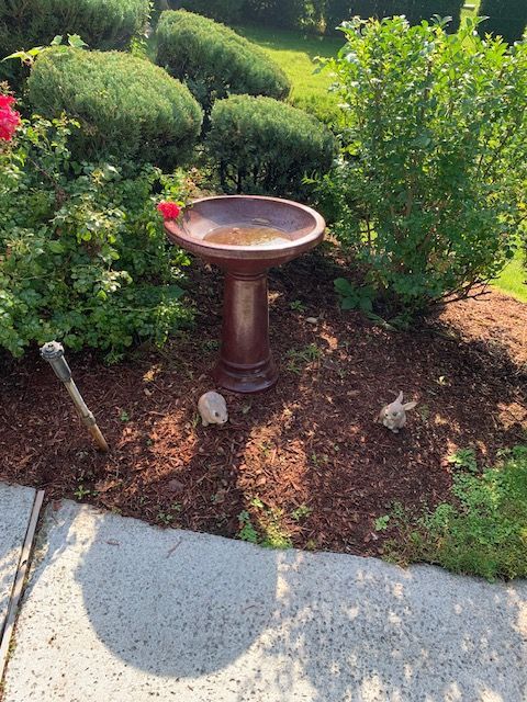 Brown birdbath in a landscaped garden beside a stone path and green shrubs.