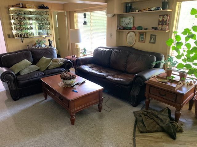 Cozy living room with dark leather sofas, wooden coffee table, shelves, and bright window light