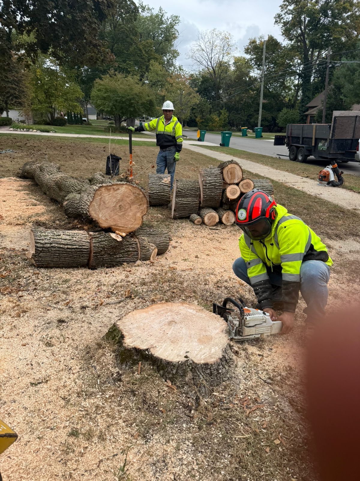 Two people in high-visibility gear work on tree removal, with one crouching to cut a stump while the other stands nearby.