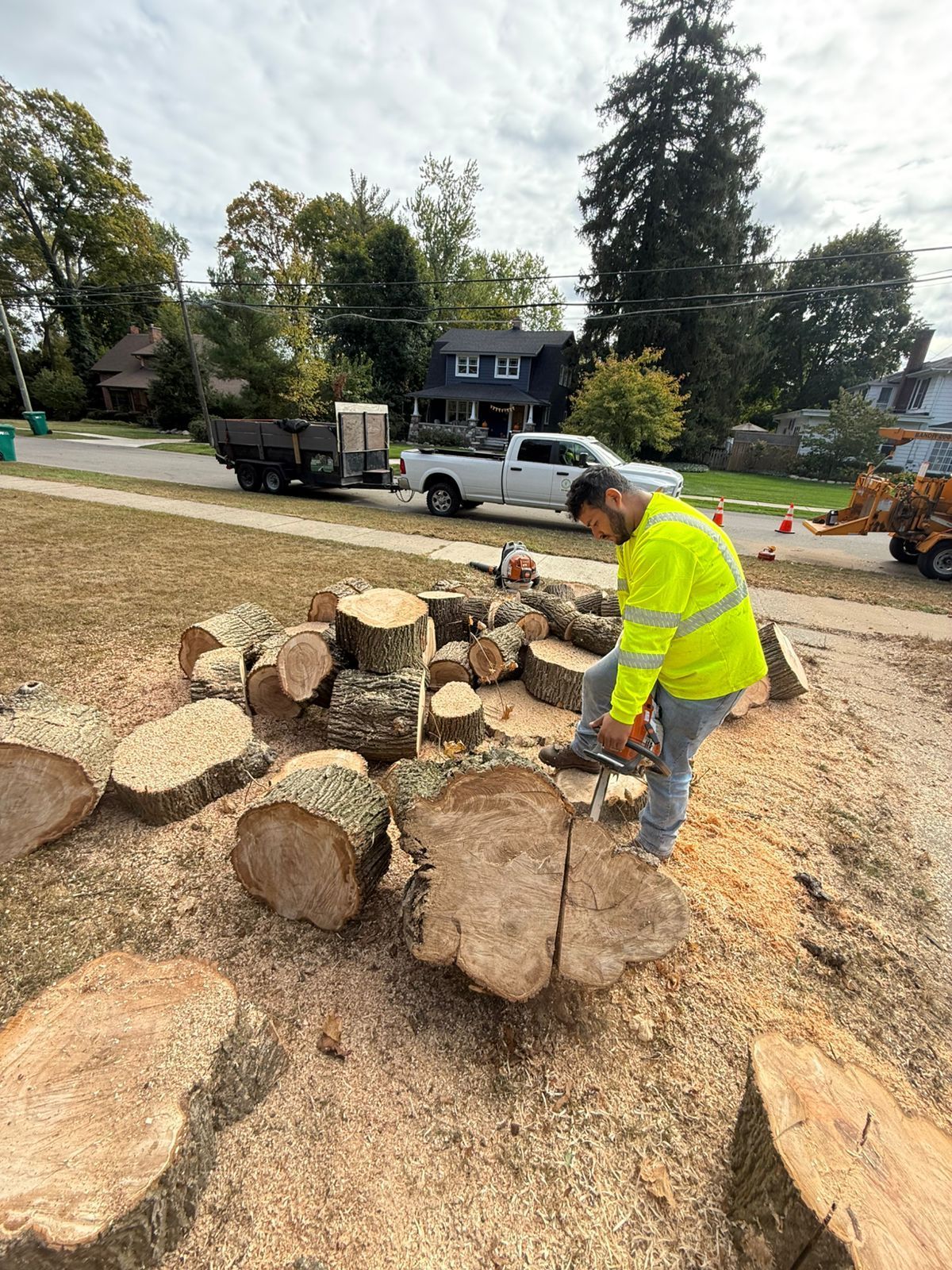 A person in a high-visibility yellow jacket uses a chainsaw to cut a large tree trunk on a suburban residential street.