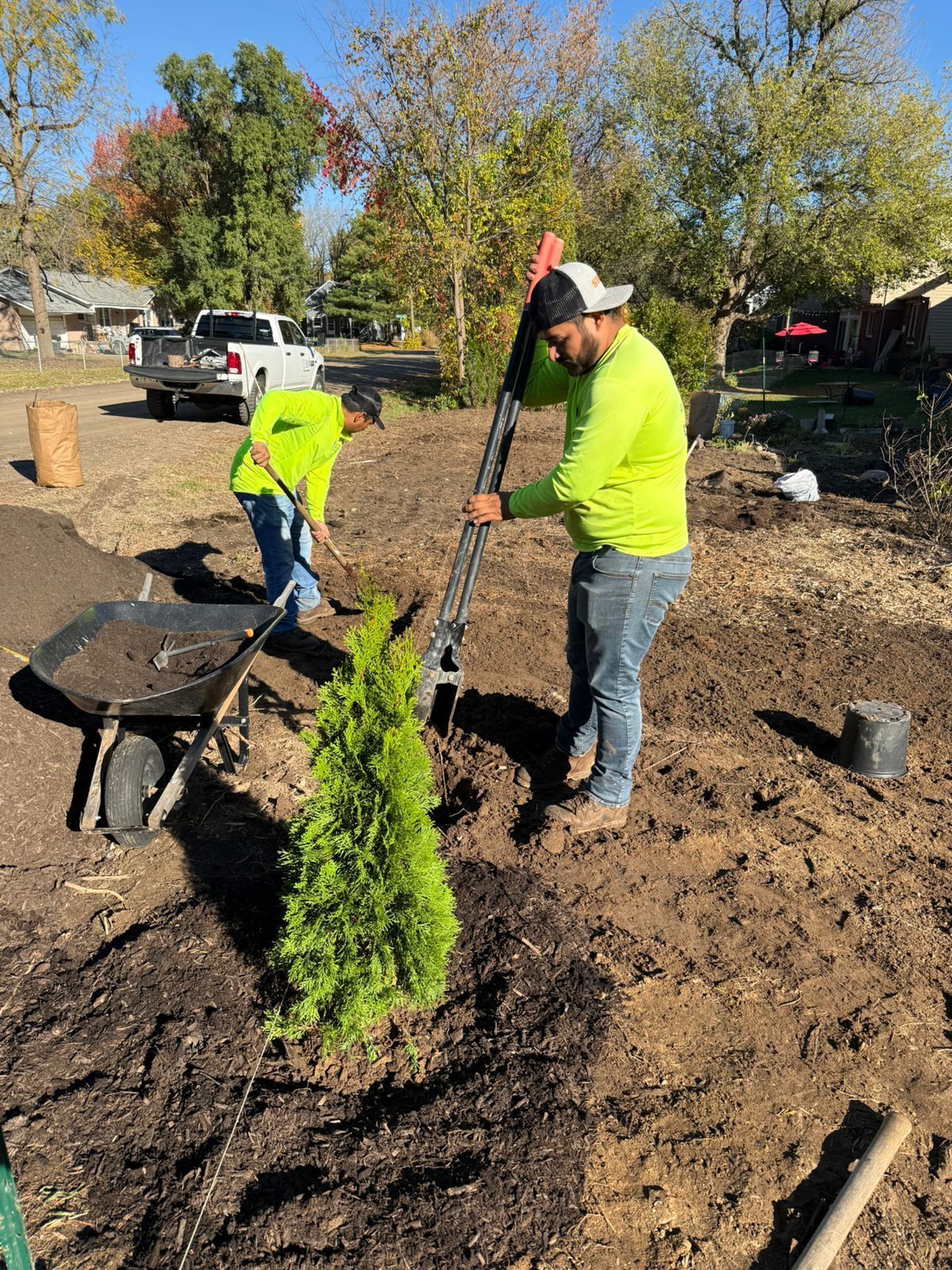 Two people in bright green shirts planting a small evergreen tree in a sunny outdoor yard with a wheelbarrow nearby.