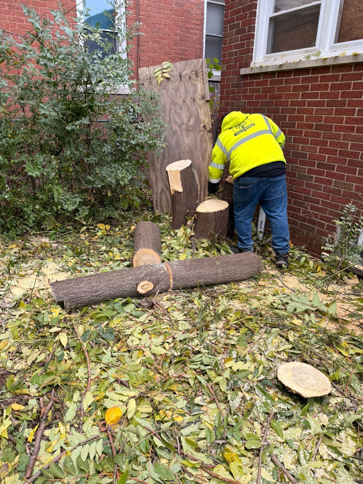 A worker in a high-visibility yellow jacket stands by a brick wall next to freshly cut tree logs in a yard with leaves.