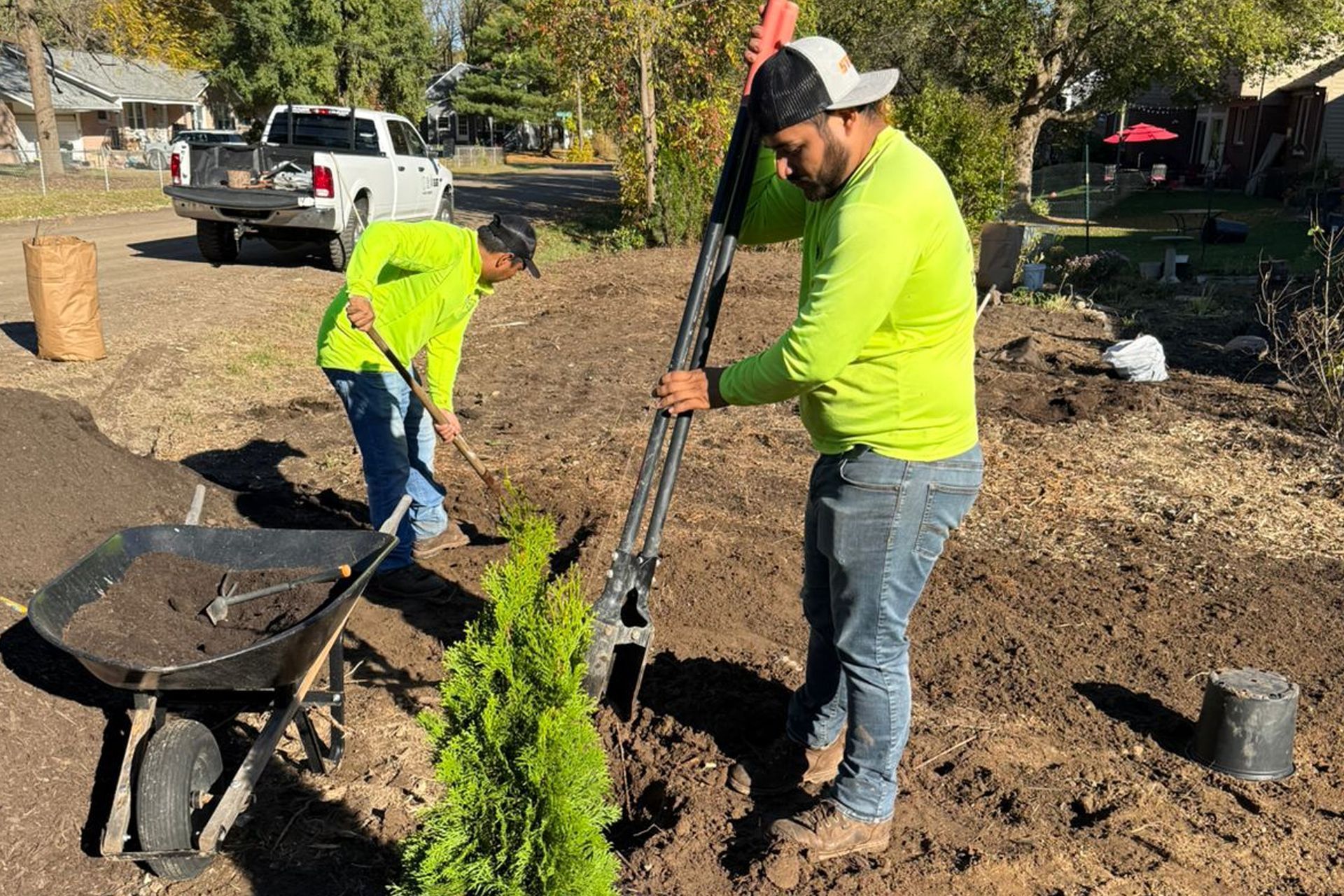 Two landscape workers in high-visibility yellow shirts plant a small evergreen tree in a sunny yard.
