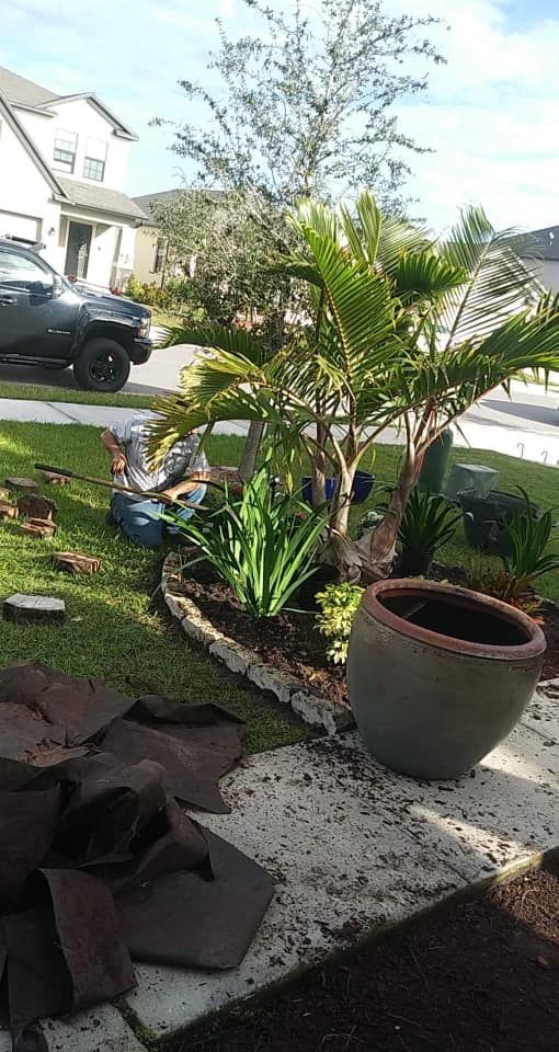 A front yard with a palm tree, plants, and an empty pot beside a sidewalk. A truck is parked nearby.