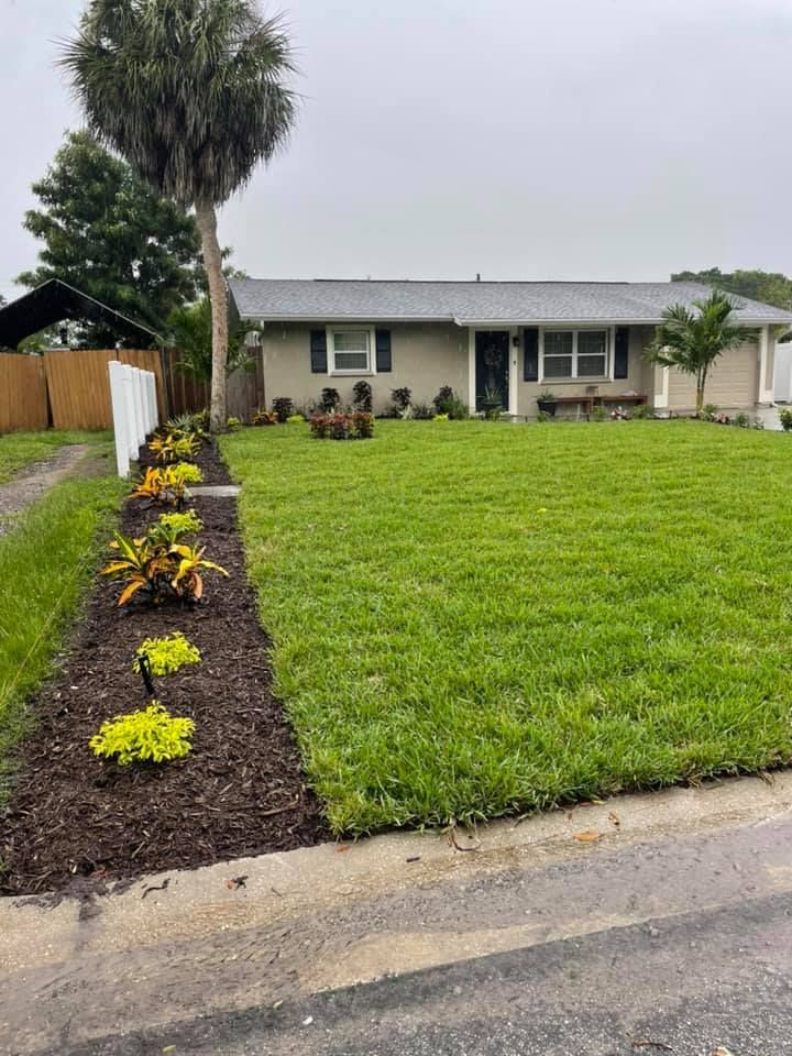 A well-manicured lawn and landscaping in front of a tan ranch-style house.