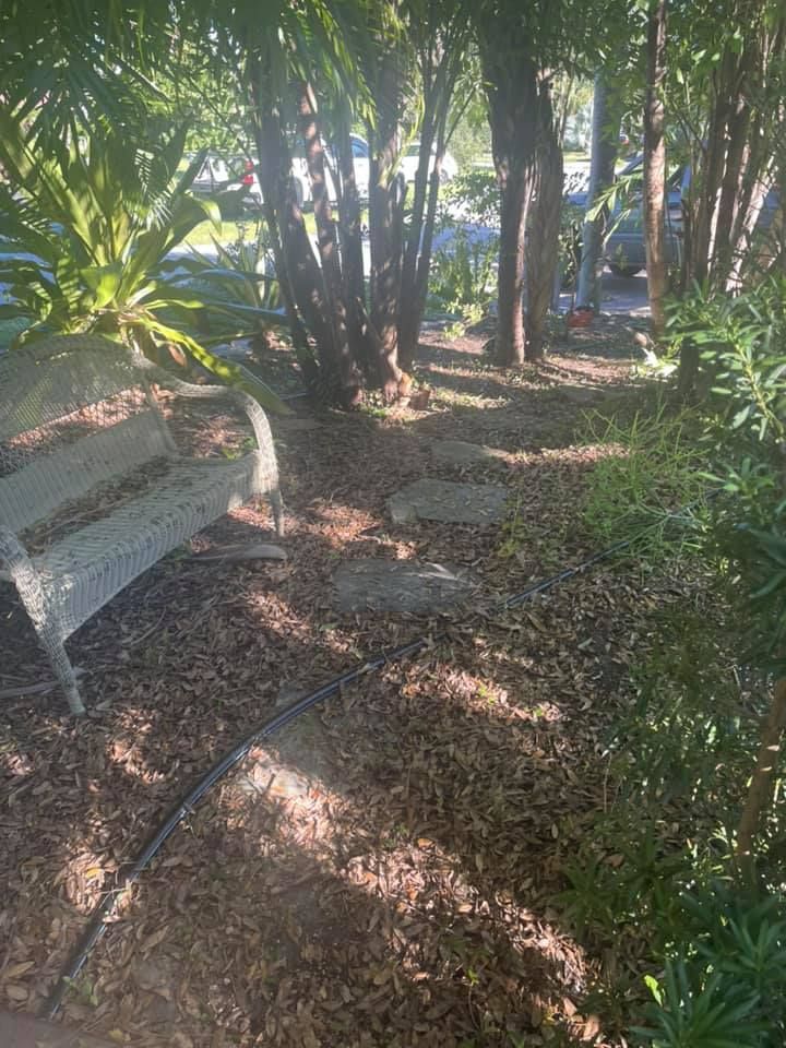 A bench and stepping stones in a sunlit garden, surrounded by trees and foliage.