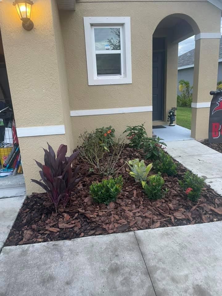 Front yard landscaping with various plants and brown mulch; beside a tan house and sidewalk.