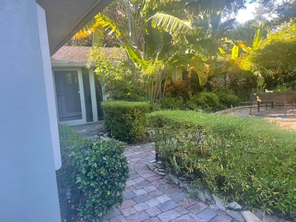 Brick pathway lined with trimmed bushes leads to a house with lush tropical foliage and a pool area.