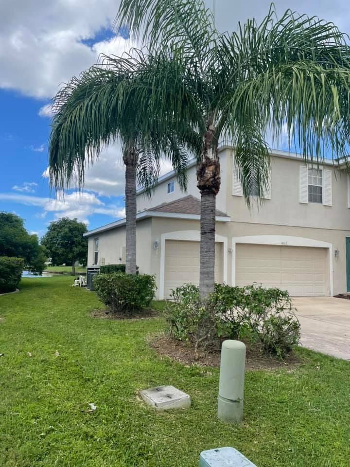 Two-story beige townhouses with palm trees in front and blue sky. Green grass, bushes, and utilities in the foreground.
