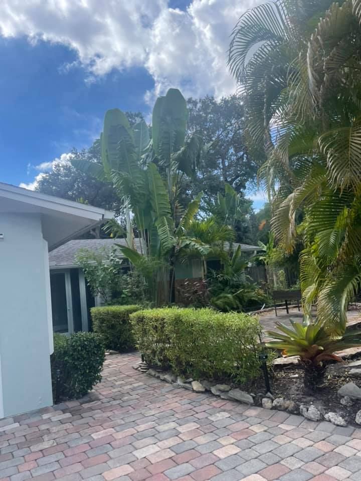Brick walkway leading past manicured hedges and tropical plants toward a house under a cloudy sky.