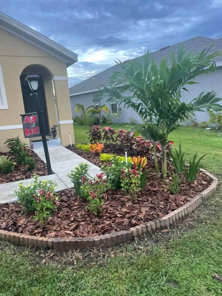 Landscaped yard with a palm tree, flowers, and wood chip mulch borders a house's entrance.