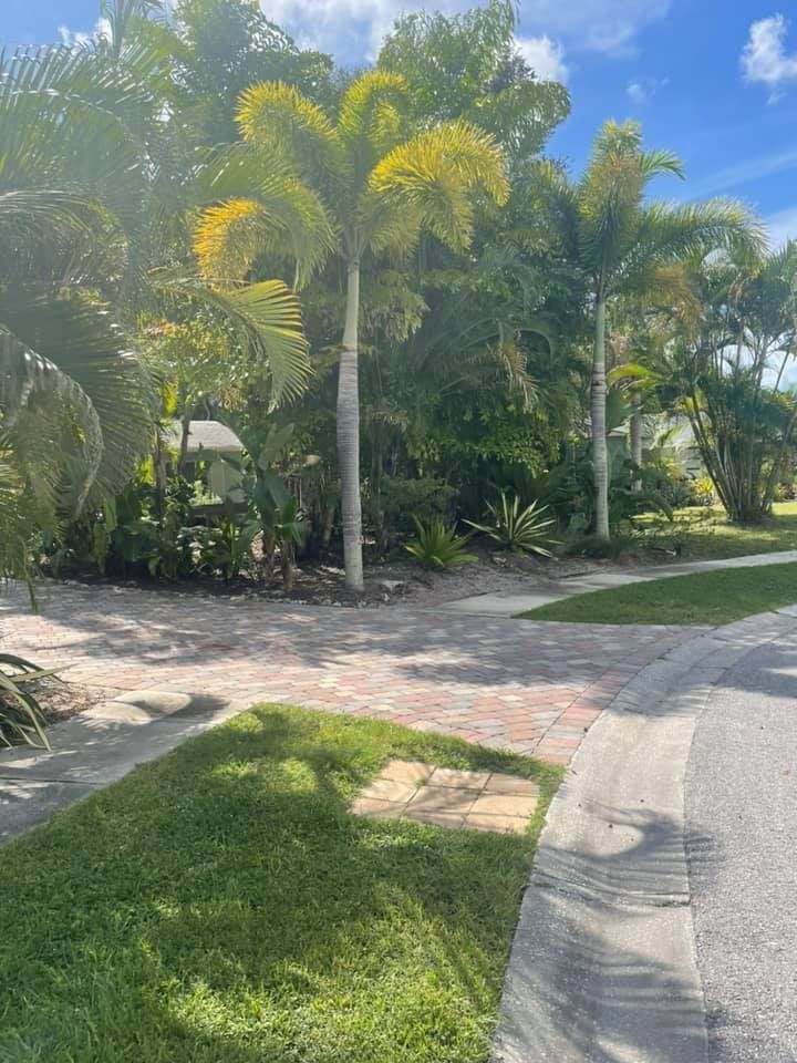 Palm trees and other greenery line a sidewalk next to a road, under a partly cloudy sky.